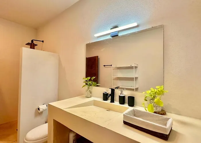 Casa Cheche Deluxe Jungle Living Private Pool *