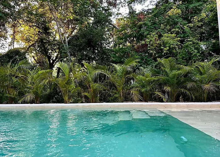 Casa Cheche Deluxe Jungle Living Private Pool Casa de férias Xpu Ha
