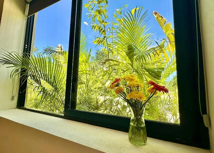 Casa Cheche Deluxe Jungle Living Private Pool Xpu Ha